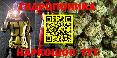 Альфа ПВП Рязань