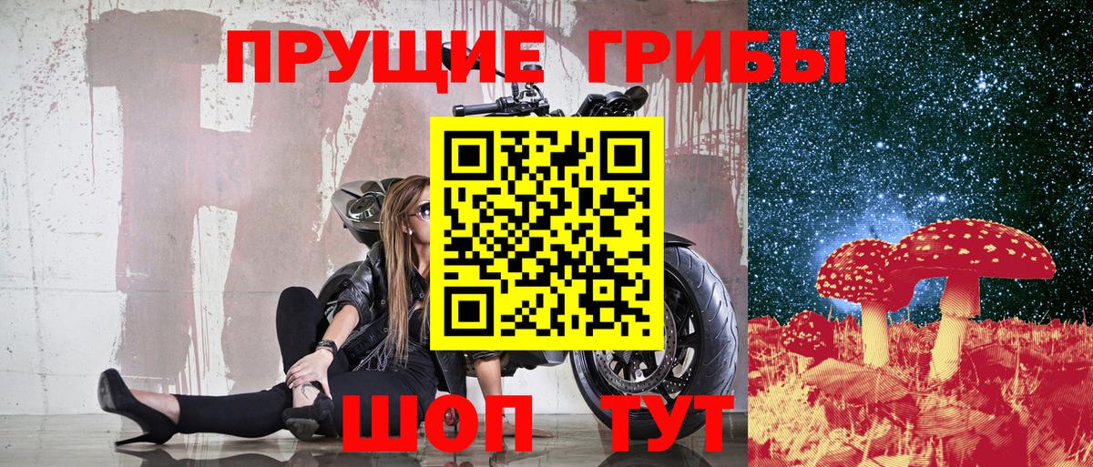 Октябрьский  Псилоцибиновые грибы Psilocybine cubensis  Галлюциногенные грибы мицелий  Вход с VPN 