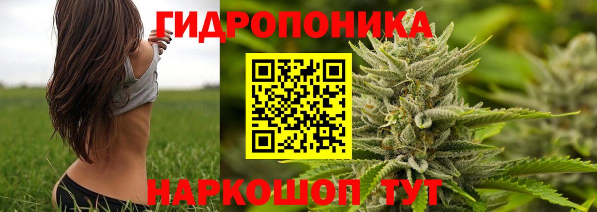 Шишки марихуана AK-47  Конопля гибрид  Бошки Шишки сатива  Марихуана VHQ  Вход с VPN  Октябрьский 
